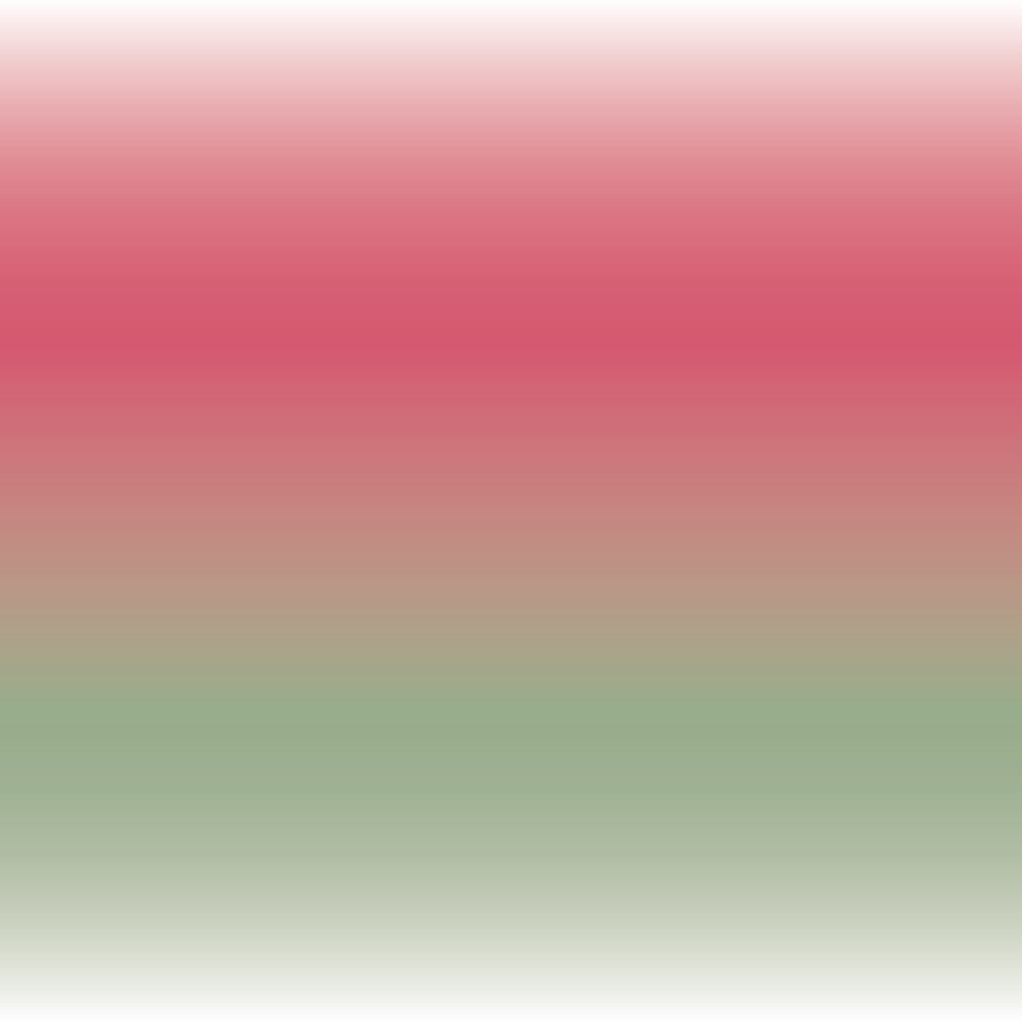 POINTY Bermuda - PRINT Degrade