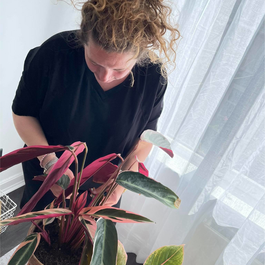 POINTY Dress - Pure Black - Made on demand